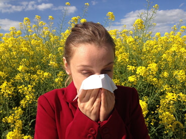 Pollen Allergiker